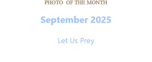 PHOTO OF THE MONTH September 2025  Let Us Prey  